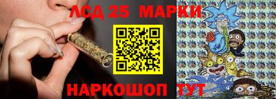 сатива Будённовск