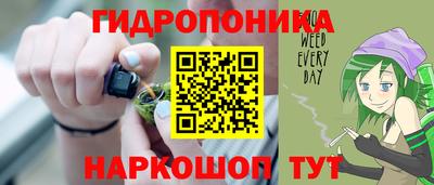 крисы Волжский