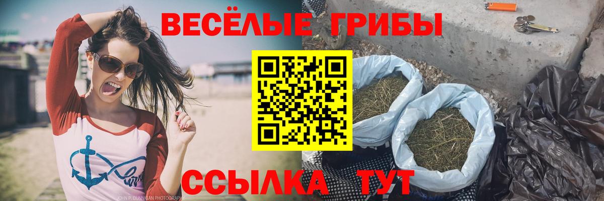 Псилоцибиновые грибы GOLDEN TEACHER  Вход с VPN  Рубцовск 